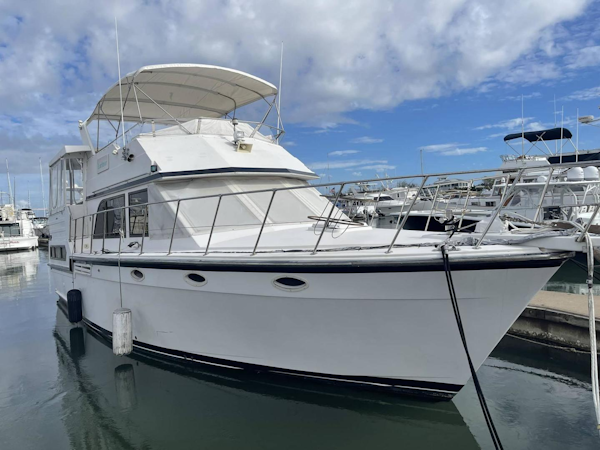 Jefferson-42 Viscount Sundeck 1992-Larimar Mount Pleasant-South Carolina-United States-3496270