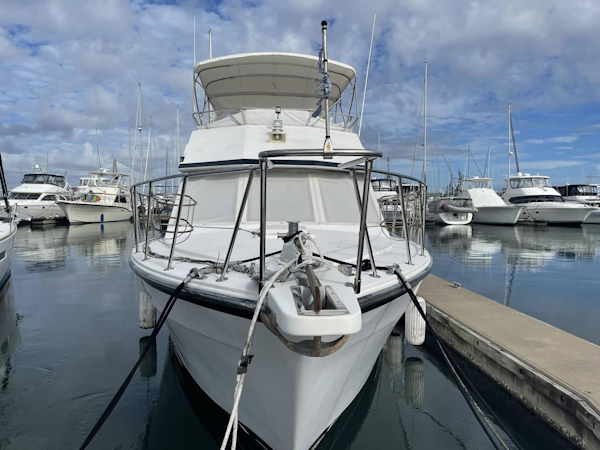Jefferson-42 Viscount Sundeck 1992-Larimar Mount Pleasant-South Carolina-United States-3496330