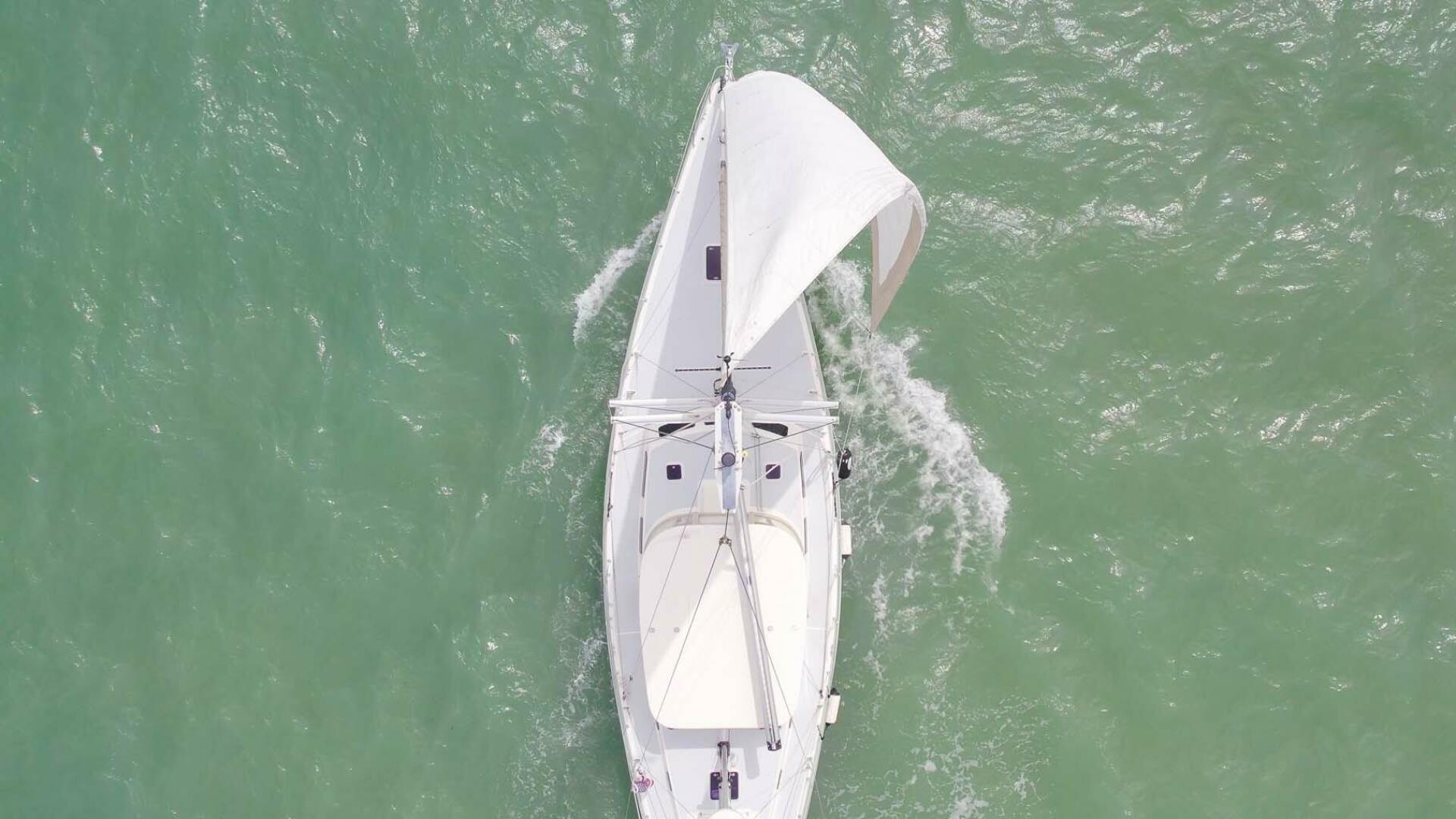 Pearson-530 1981-Best Revenge Palm City-Florida-United States-3929716 | Thumbnail