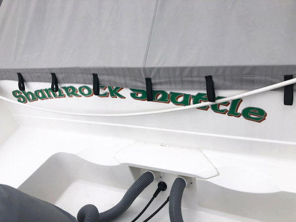 Pursuit-DC 295 Dual Console 2019-Shamrock Shuttle Jacksonville-Florida-United States-3722037