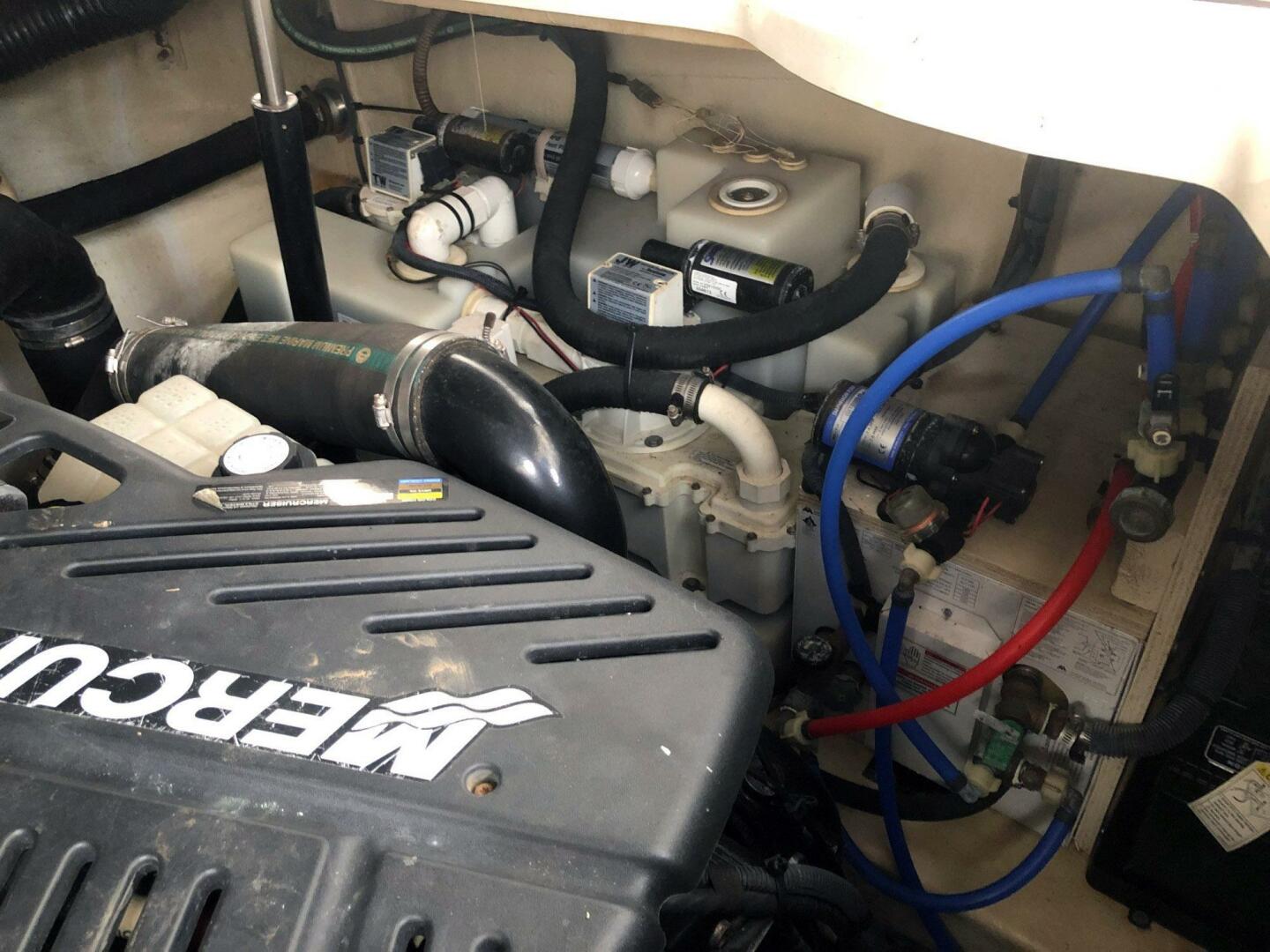 Sea Ray-340 Sundancer 2008-TRAUMA 1 Palm Coast-Florida-United States-3743453 | Thumbnail