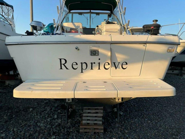 Pursuit-3000 Express 1998-Reprieve Everett-Washington-United States-3823324