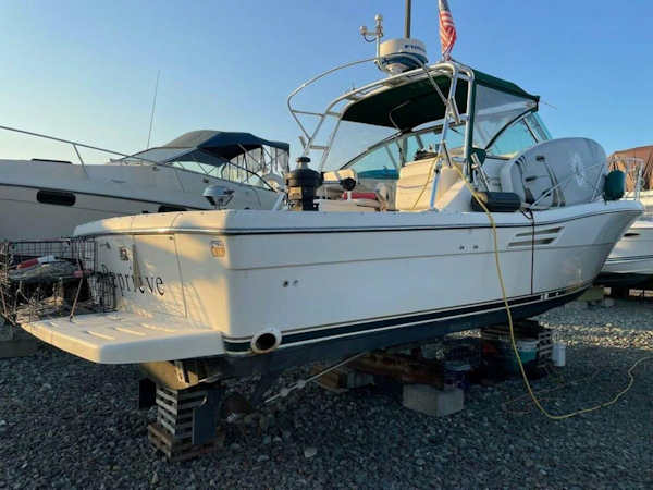 Pursuit-3000 Express 1998-Reprieve Everett-Washington-United States-3823320