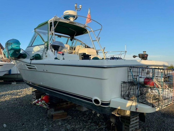 Pursuit-3000 Express 1998-Reprieve Everett-Washington-United States-3823322