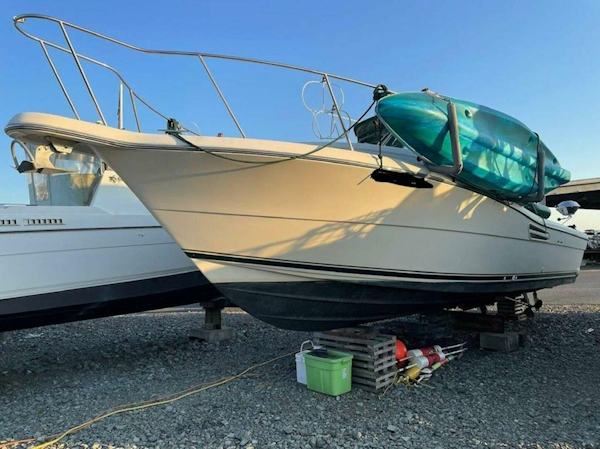 Pursuit-3000 Express 1998-Reprieve Everett-Washington-United States-3823321