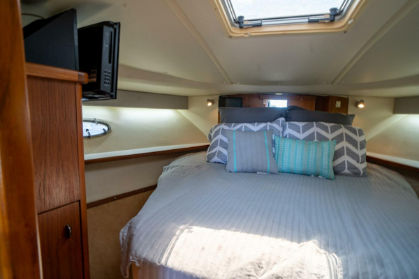 Tiara Yachts-3500 Open 1998-Buckel Down Palm Harbor-Florida-United States-3905358