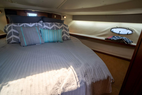 Tiara Yachts-3500 Open 1998-Buckel Down Palm Harbor-Florida-United States-3905359
