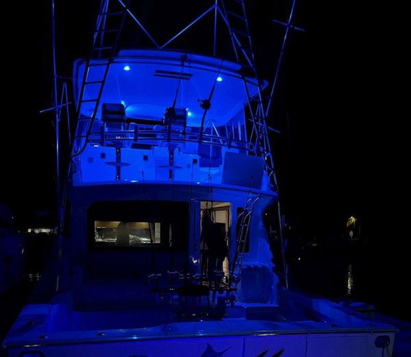 Viking-56 Convertible 2004-ONCE MOORE Palm Beach-Florida-United States-3937914