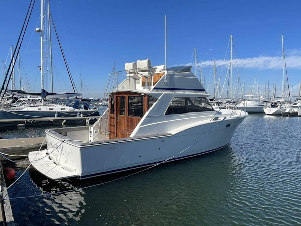 Chris-Craft-36 Tournament Fisherman 1975-SKIMMER II Mount Pleasant-South Carolina-United States-3980695