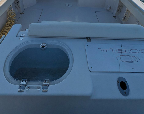 Cobia-256 Express 2009 -Apollo Beach-Florida-United States-3995872