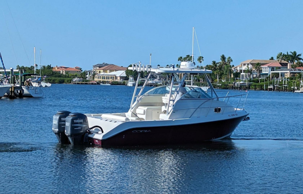 Cobia-256 Express 2009 -Apollo Beach-Florida-United States-3995884