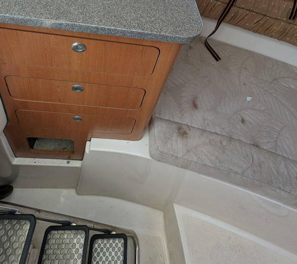 Cobia-256 Express 2009 -Apollo Beach-Florida-United States-3995858