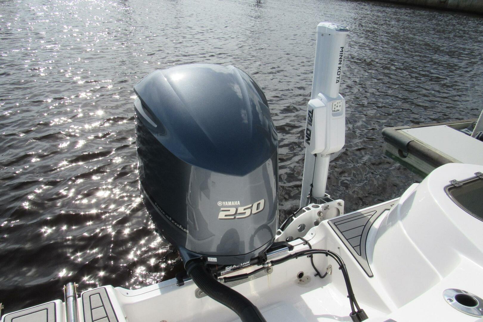 Sea Fox-226 Traveler 2022 -Daytona Beach-Florida-United States-4013985 | Thumbnail