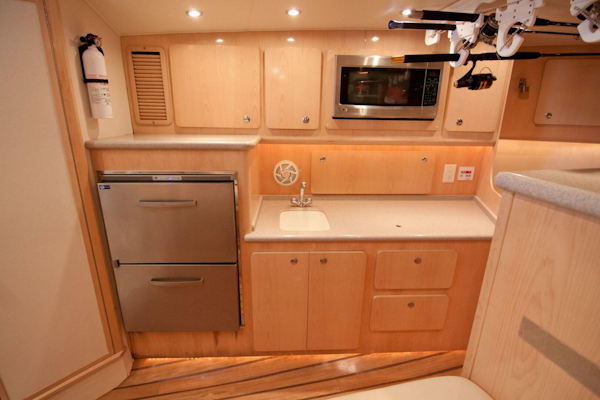 Out Island-38 Custom Express 2009-NO BONES ABOUT IT Jupiter-Florida-United States-Out Island 38 Express-Cabin-4017292