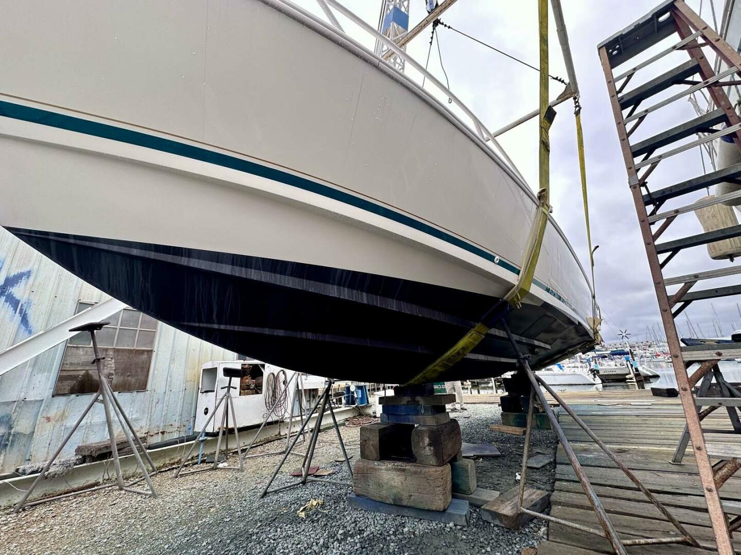 Intrepid-356 Kevlar 1995-Shenanigans New Orleans-Louisiana-United States-Fresh Bottom Paint-4091265 | Thumbnail