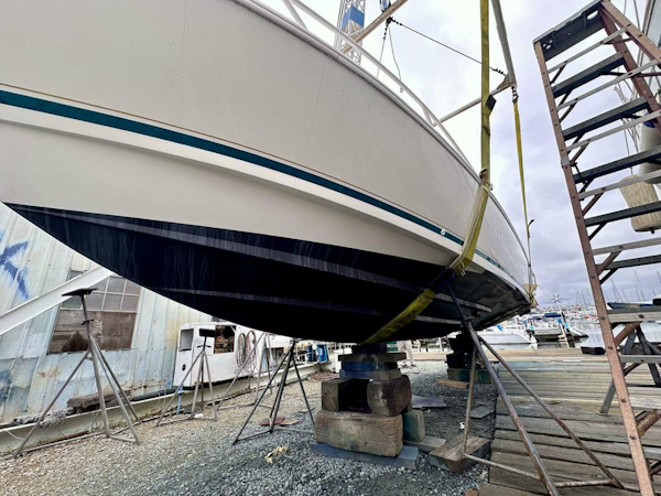 Intrepid-356 Kevlar 1995-Shenanigans New Orleans-Louisiana-United States-Fresh Bottom Paint-4091265