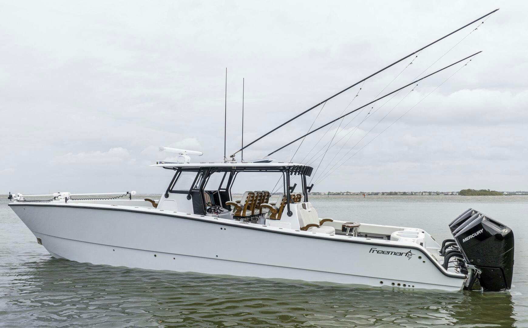 Freeman 2024 -Palm Harbor-Florida-United States-4096393