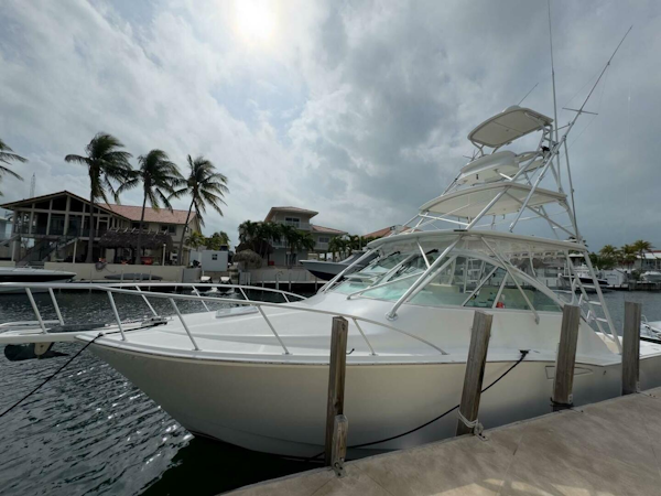 Cabo-Express 2007-Survivor Key Largo-Florida-United States-4099738