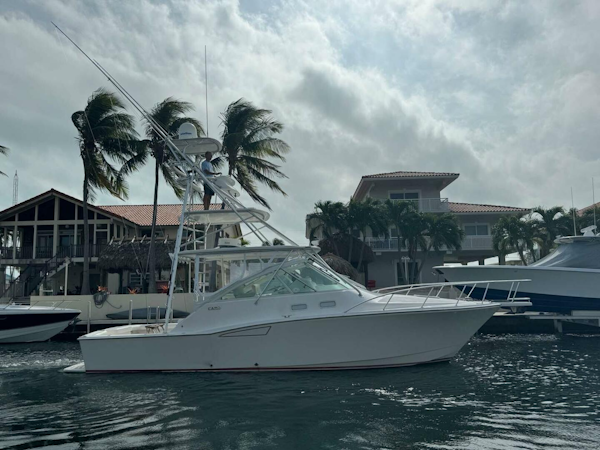 Cabo-Express 2007-Survivor Key Largo-Florida-United States-4099735