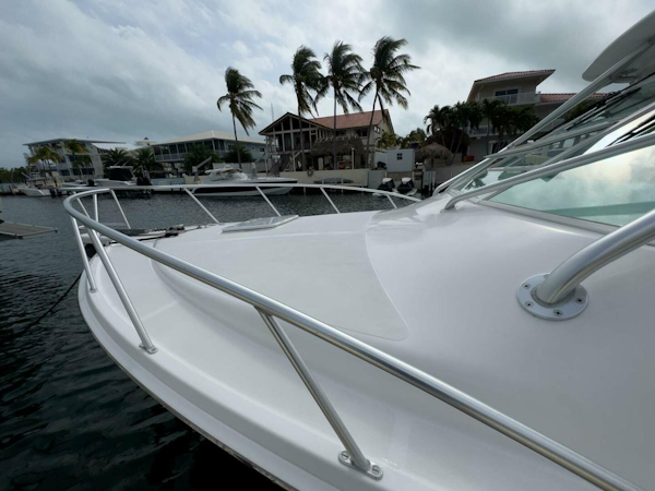 Cabo-Express 2007-Survivor Key Largo-Florida-United States-4099744
