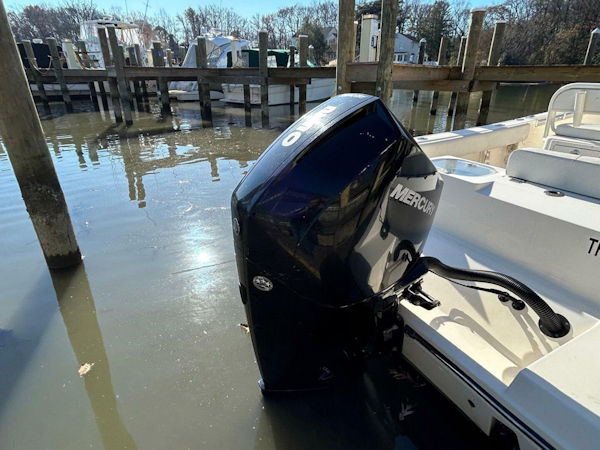 Cobia-237 Center Console 2021 -Essex-Maryland-United States-4168295