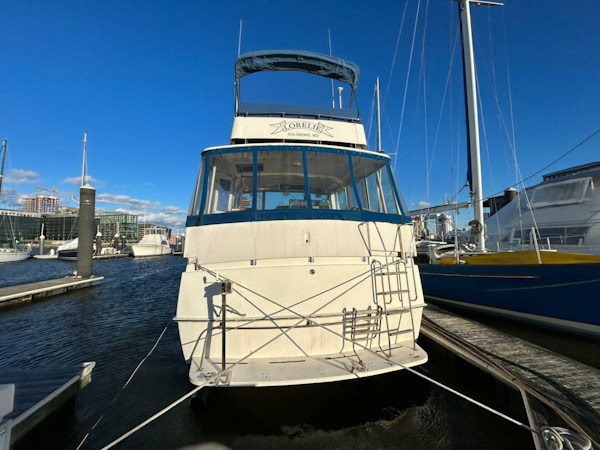 Bertram-Motor Yacht 1986-Lorelie Essex-Maryland-United States-4168205