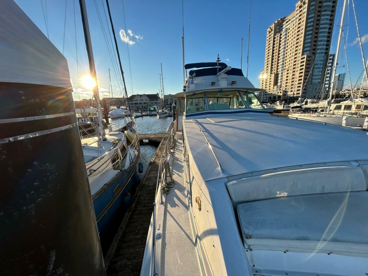 Bertram-Motor Yacht 1986-Lorelie Essex-Maryland-United States-4168253 | Thumbnail
