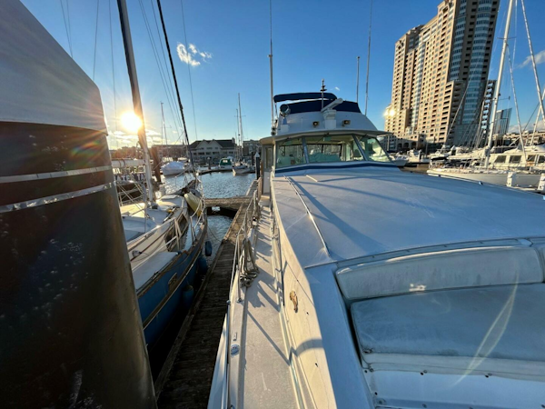 Bertram-Motor Yacht 1986-Lorelie Essex-Maryland-United States-4168253
