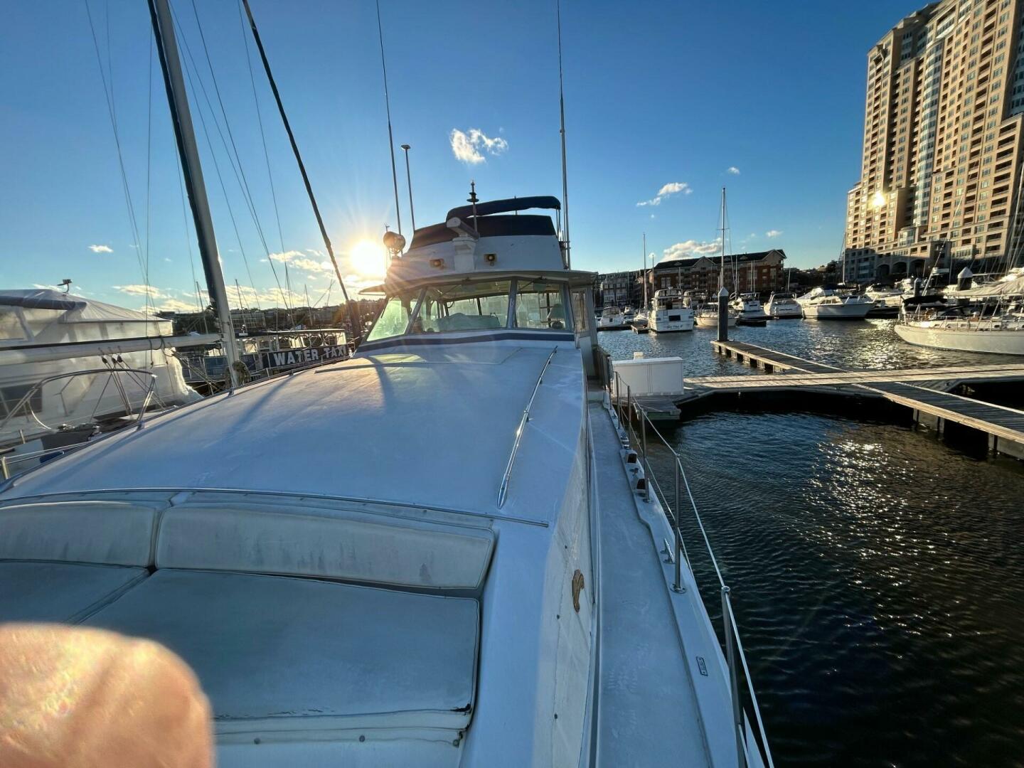 Bertram-Motor Yacht 1986-Lorelie Essex-Maryland-United States-4168252 | Thumbnail
