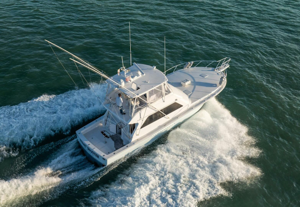 Viking-Convertible 2001-Strait Shooter Fort Pierce-Florida-United States-4157917