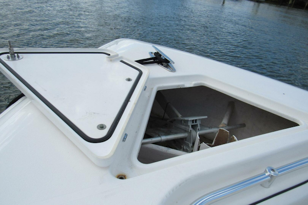 Contender-39 ST 2019-OCEAN GROWN Dayton Beach-Florida-United States-4425057