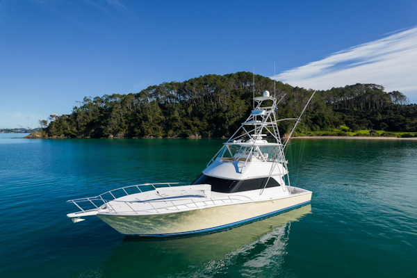 Viking-Convertible 2002-Alive and Kicking Opua-New Zealand-5907908