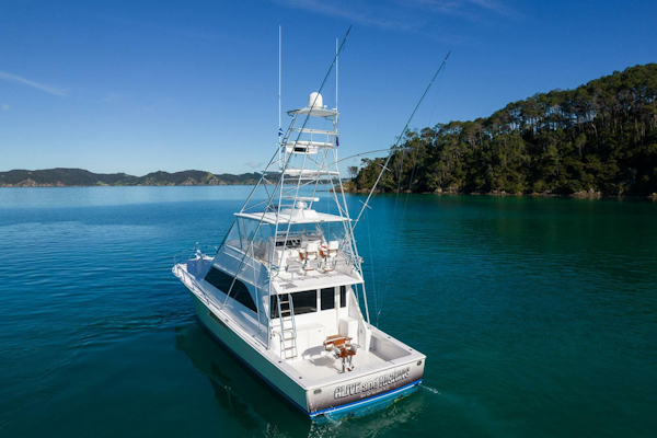 Viking-Convertible 2002-Alive and Kicking Opua-New Zealand-5907997