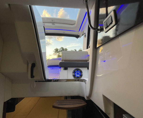 Sea Ray-Sundancer 320 2021 -Hollywood-Florida-United States-4191042