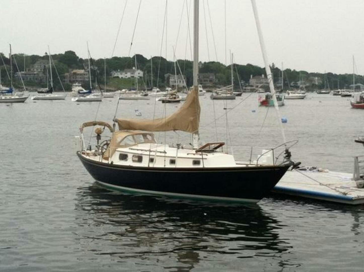 Bristol-40 1972-Kate Salem-Massachusetts-United States-4194233