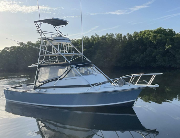 Bertram-31 Bahia Mar 1967-Full Circle St. Petersburg-Florida-United States-4250207
