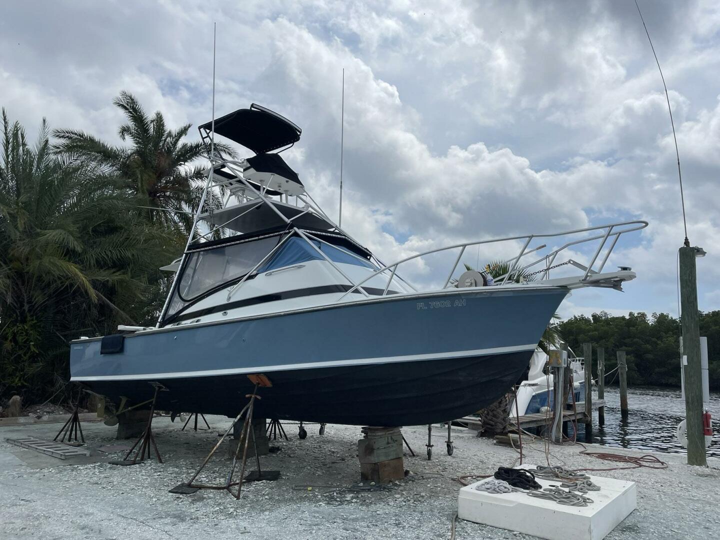 Bertram-31 Bahia Mar 1967-Full Circle St. Petersburg-Florida-United States-4250233 | Thumbnail
