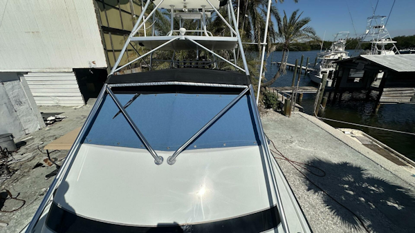 Bertram-31 Bahia Mar 1967-Full Circle St. Petersburg-Florida-United States-4250221