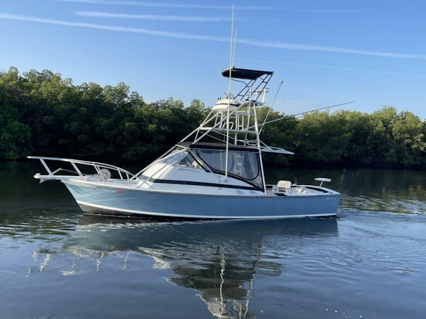 Full Circle Bertram 31' 1967 St. Petersburg, Florida Full Circle Bertram 31' 1967 St. Petersburg, Florida