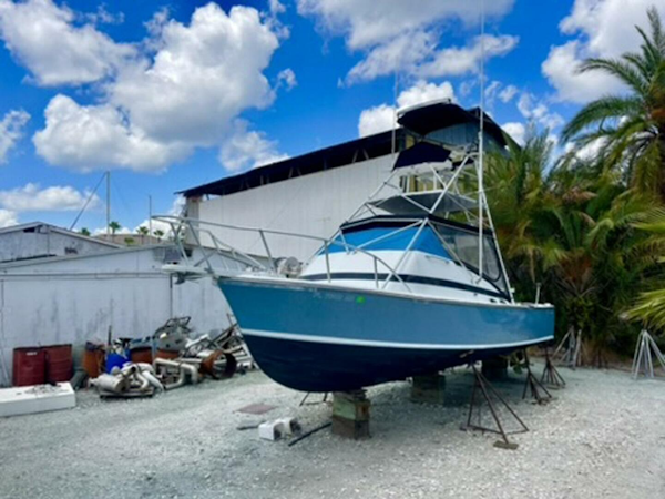 Bertram-31 Bahia Mar 1967-Full Circle St. Petersburg-Florida-United States-4250235