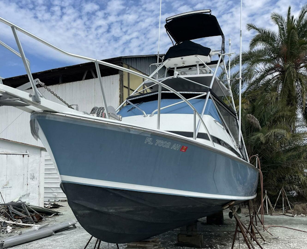 Bertram-31 Bahia Mar 1967-Full Circle St. Petersburg-Florida-United States-4250234