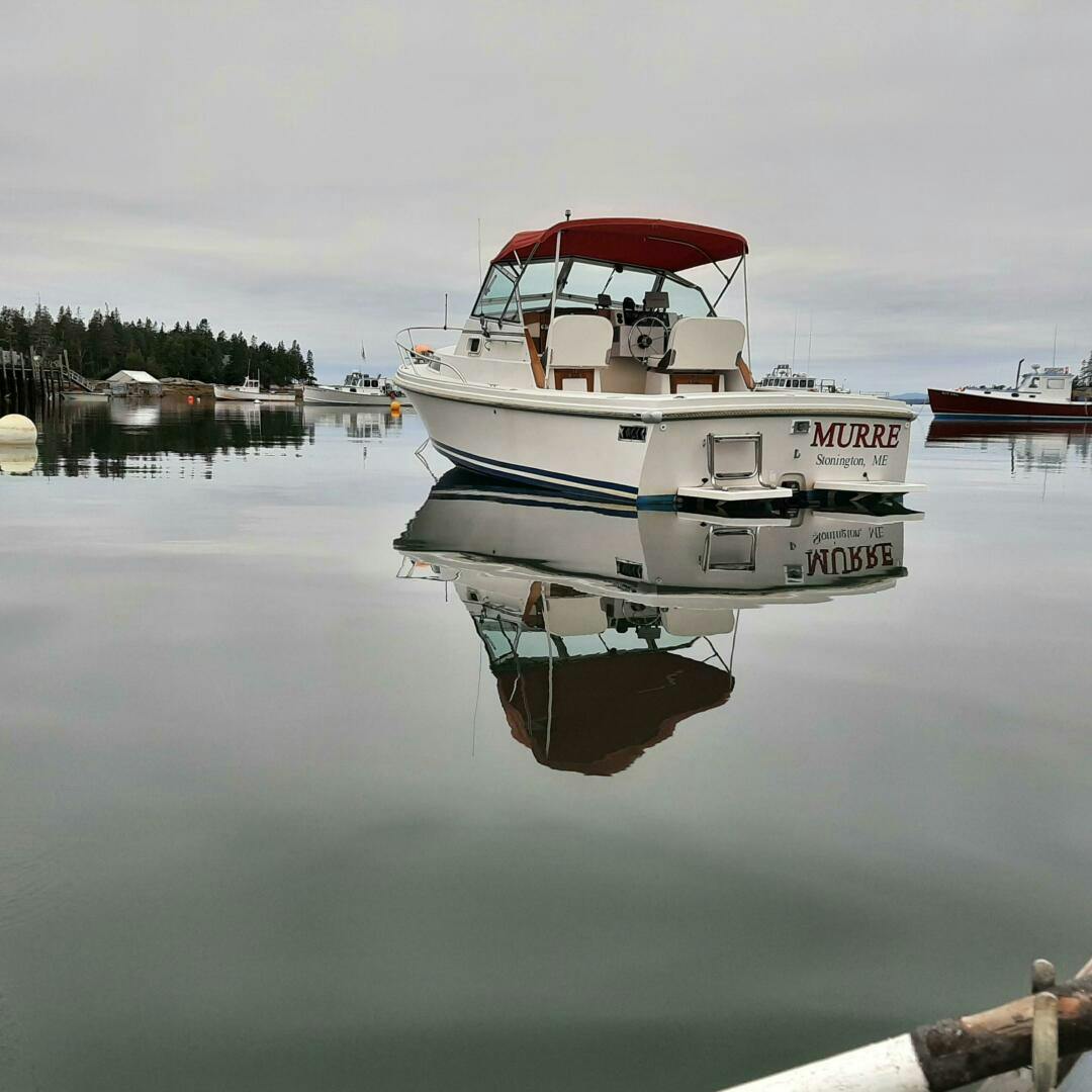 Limestone-Express Cruiser 1988-MURRE Boothbay Harbor-Maine-United States-5146916