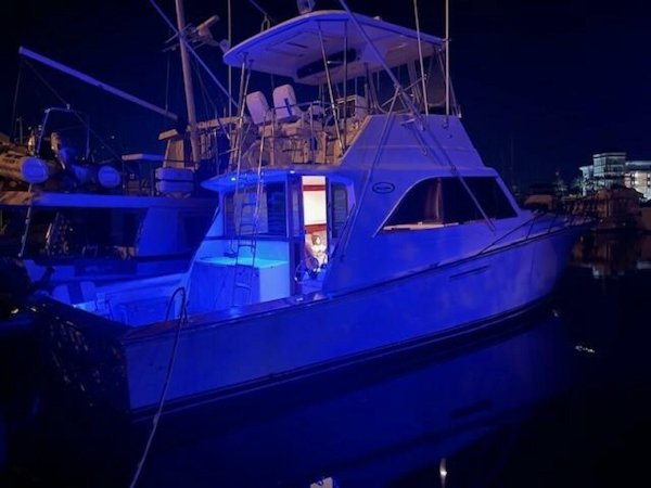 Ocean Yachts-Sport Fish 1985-Reel Freedom Palm Coast-Florida-United States-4386514
