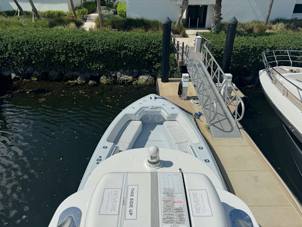 Contender 2022-BUCKALOT Fort Lauderdale-Florida-United States-4940121
