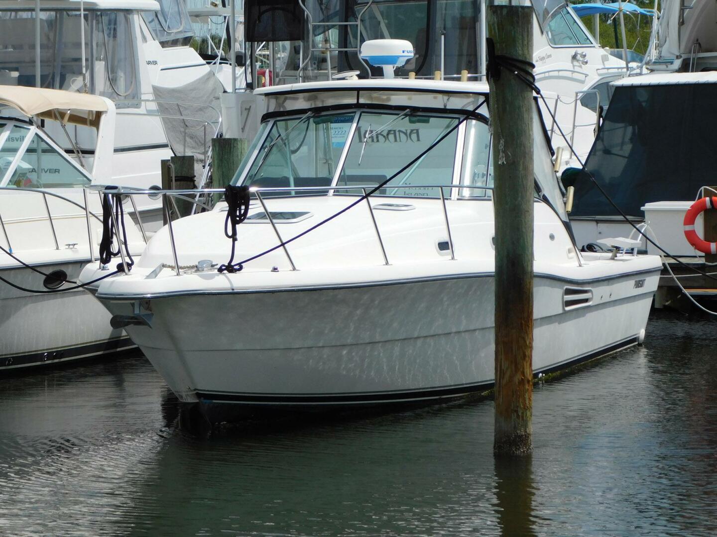 Pursuit-3000 Express 2003 -Merritt Island-Florida-United States-4260765 | Thumbnail