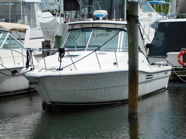 Pursuit-3000 Express 2003 -Merritt Island-Florida-United States-4260765