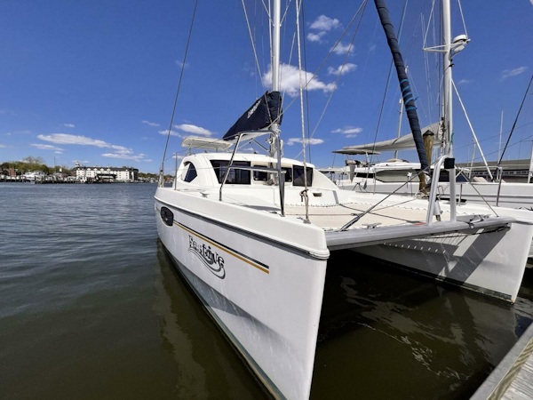 Leopard-39 2011-Festive Annapolis-Maryland-United States-4324382