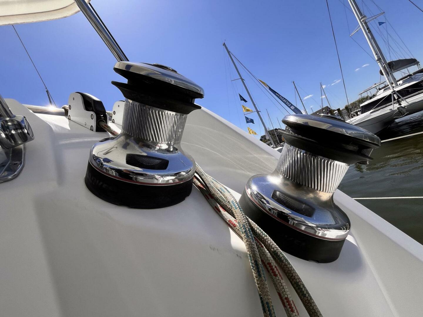 Leopard-39 2011-Festive Annapolis-Maryland-United States-4324393 | Thumbnail