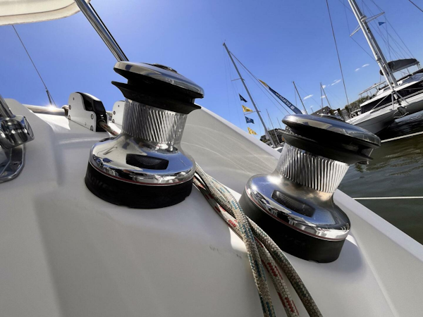 Leopard-39 2011-Festive Annapolis-Maryland-United States-4324393