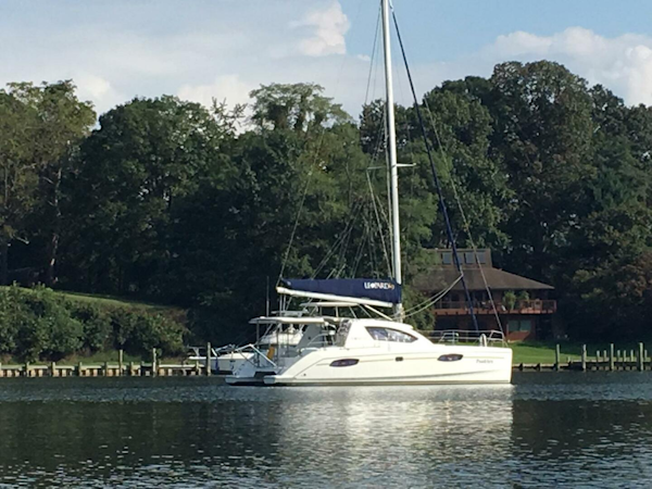 Leopard-39 2011-Festive Annapolis-Maryland-United States-4324468